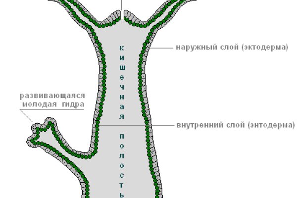 Кракен клирнет ссылка