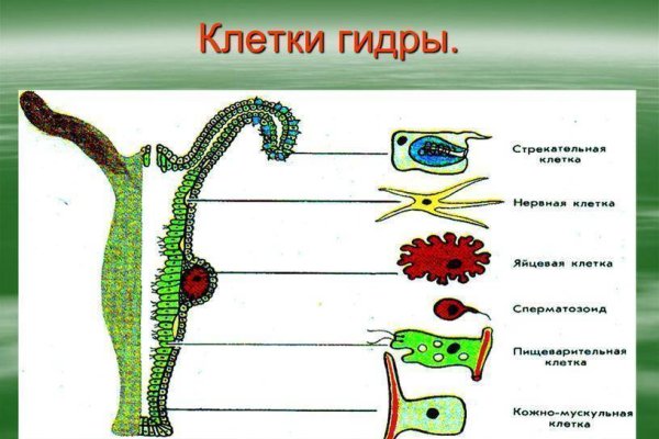 Кракен сайт в тор браузере ссылка