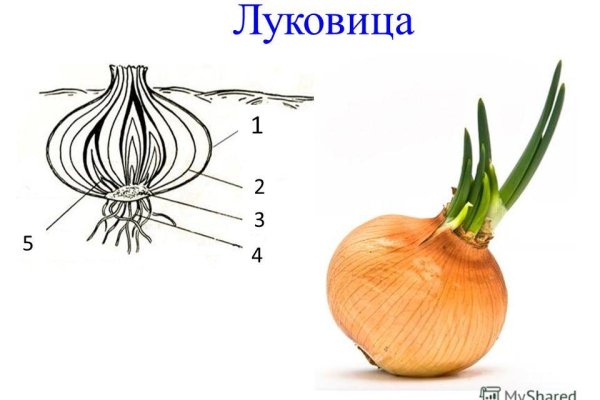 Кракен даркнет маркет ссылка сайт