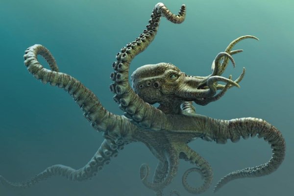 Kraken marketplace