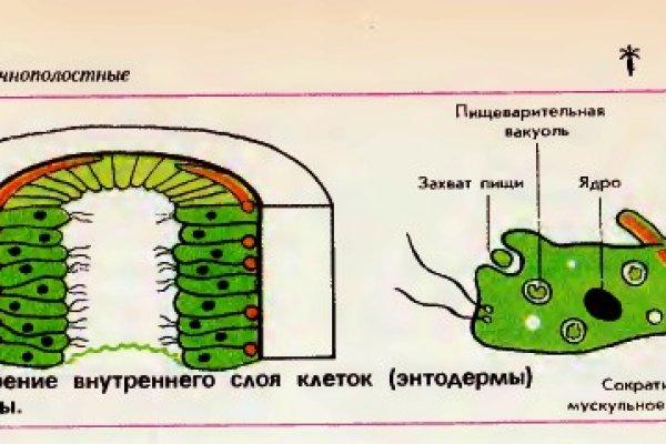 Сайт kraken в tor