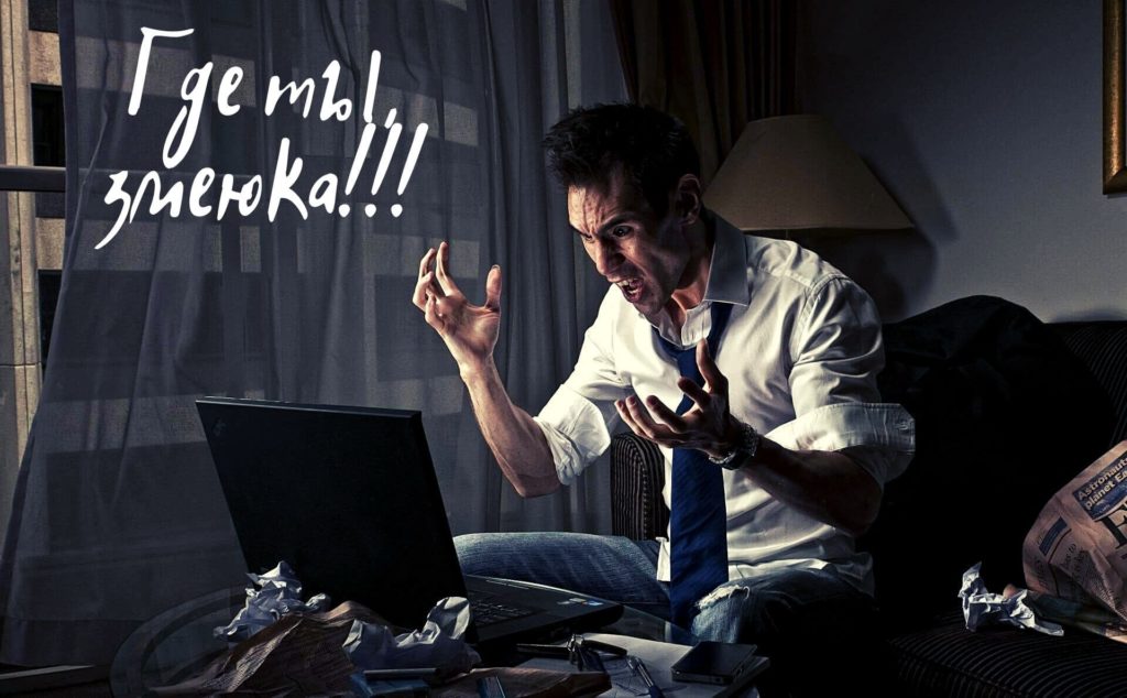 Kraken рынок