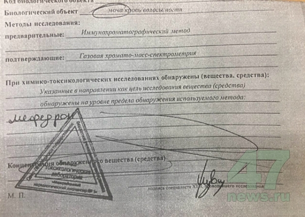 Сайт кракен через тор